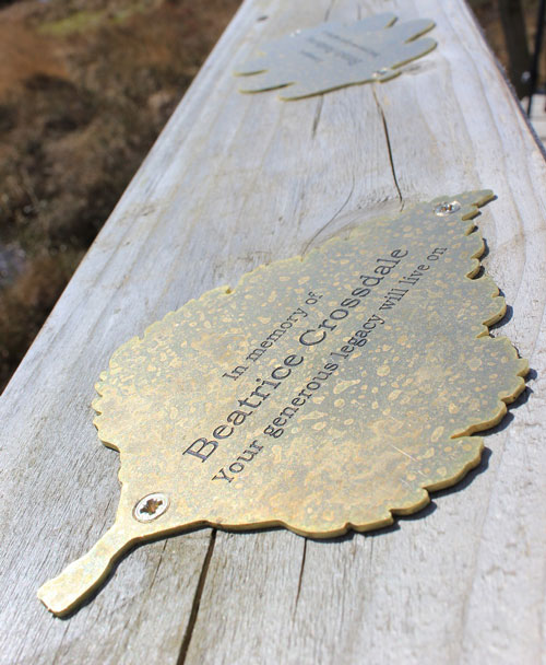 brass birch leaf plaque at Foulshaw Moss Nature Reserve