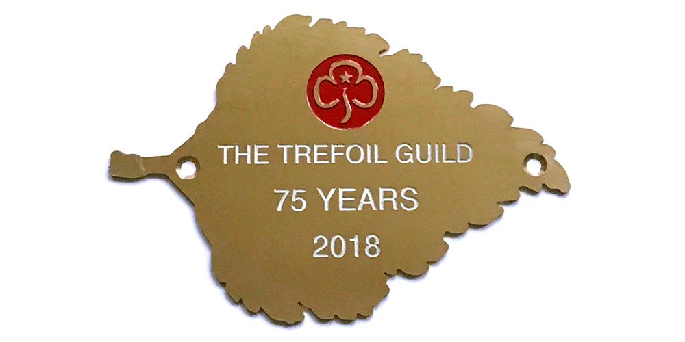 Birch leaf brass plaque by Finch Tree UK