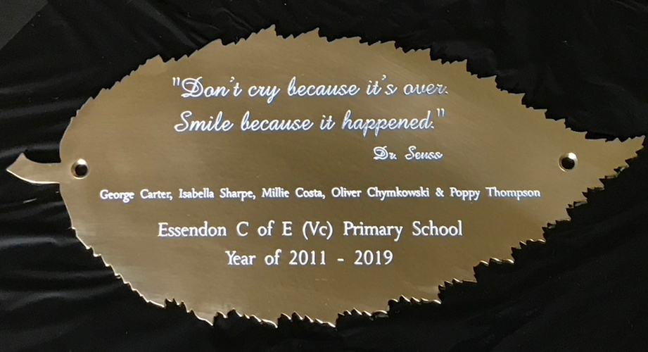 Engraved brass Hornbeam plaque by Finch Tree UK