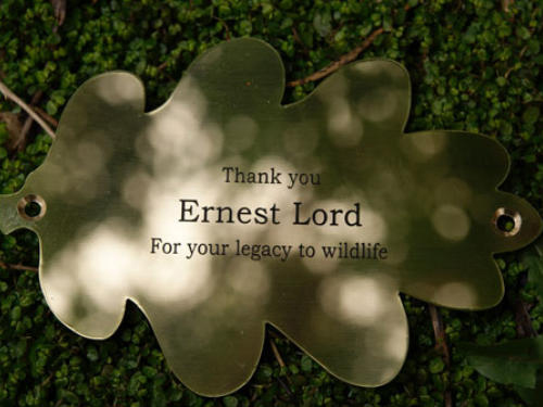 engraved brass oak leaf plaque