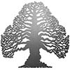 Eternal Tree stainless steel fundraising tree by Metallic Garden UK