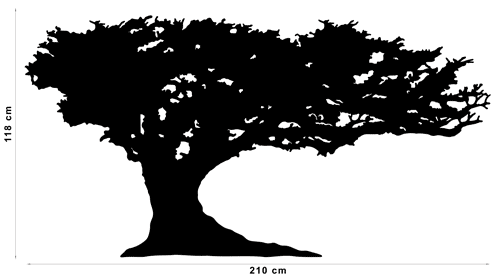 windswept tree dimensions